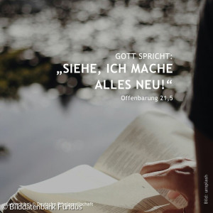 Jahreslosung_2026 1080x1080px - 8